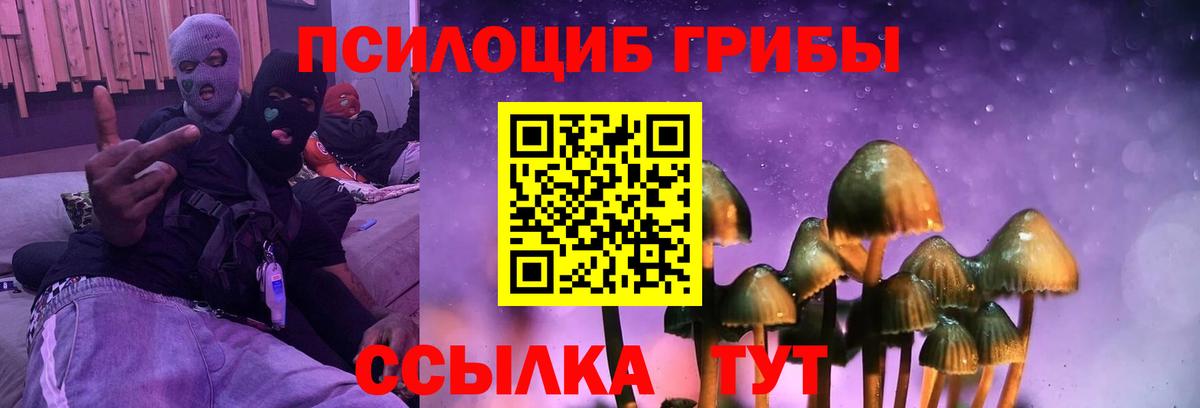 Псилоцибиновые грибы мухоморы Канаш